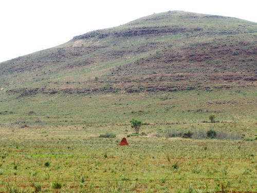 Our first African Termite Mound!